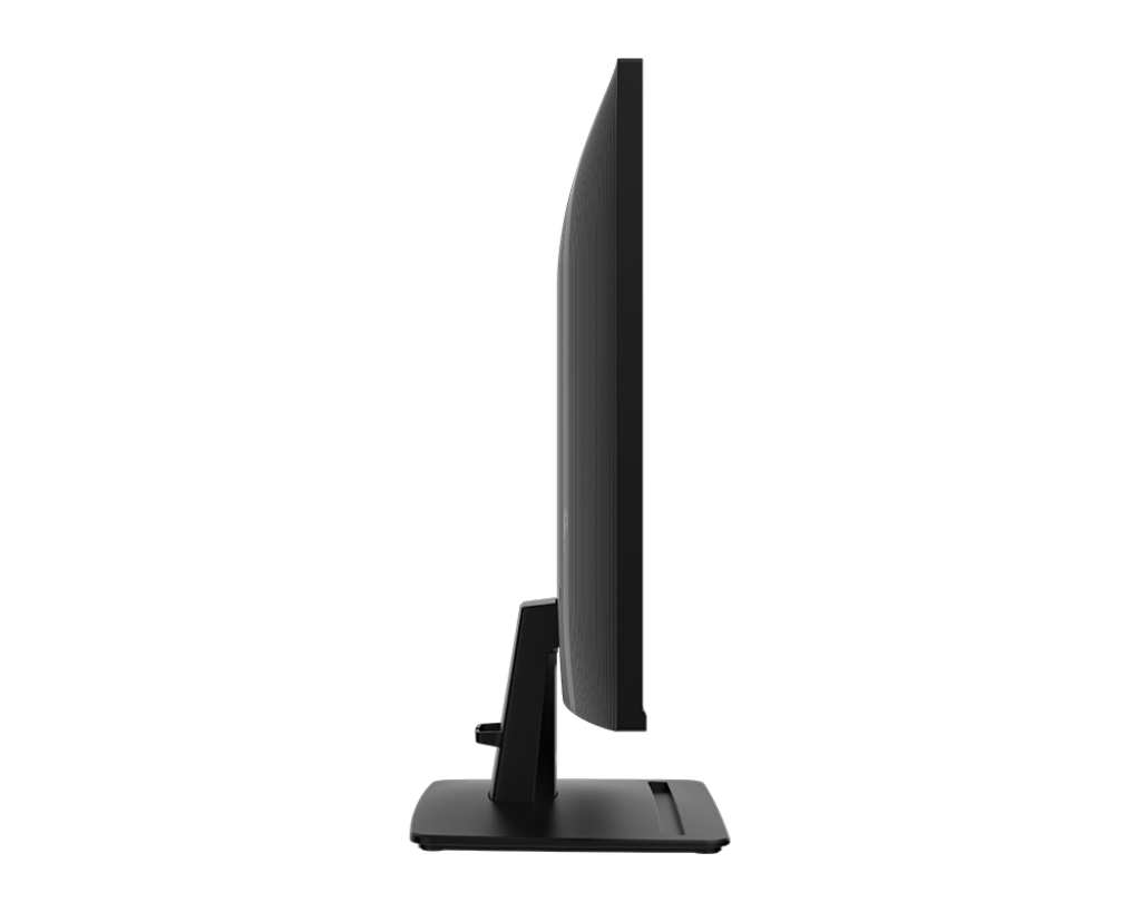 MSI 25" PRO MP251 E2 IPS Gaming Monitor