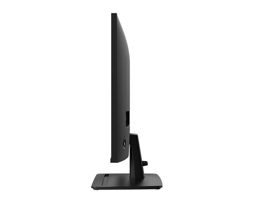 MSI 25" PRO MP251 E2 IPS Gaming Monitor