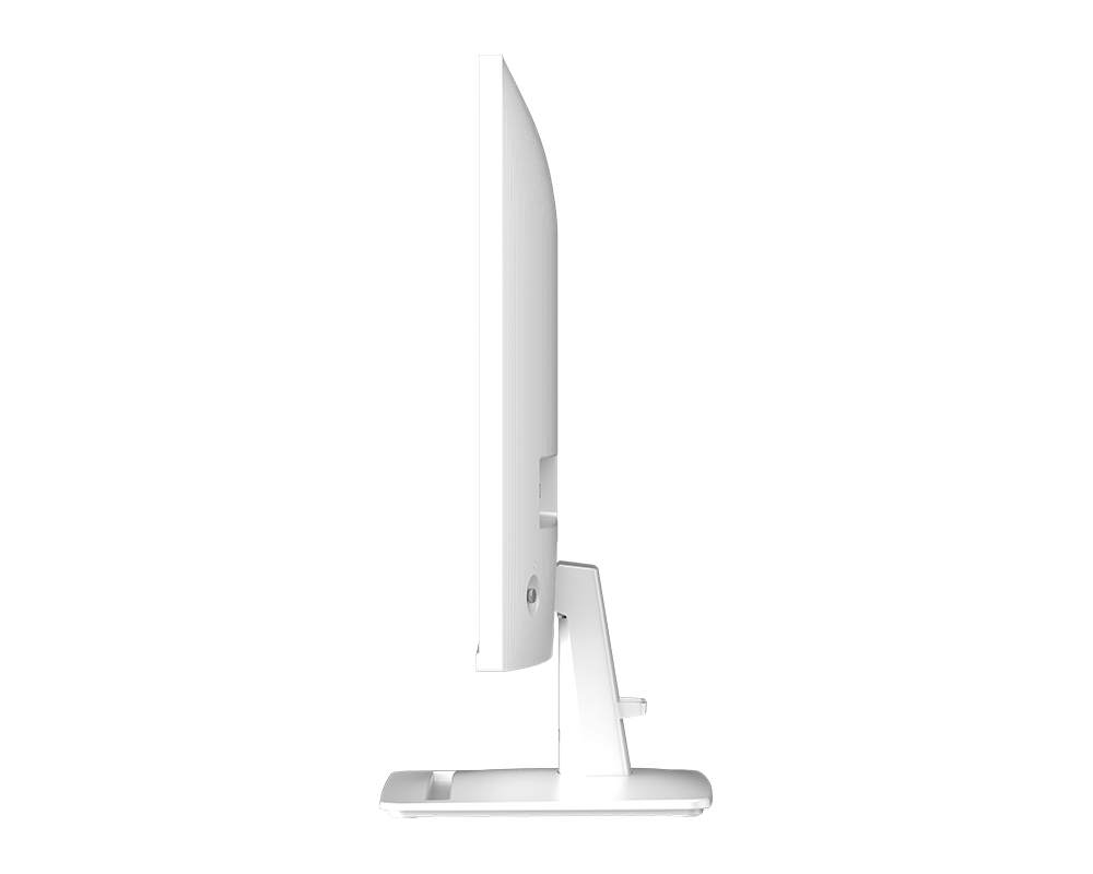 MSI 25" PRO MP251W E2 IPS Gaming Monitor